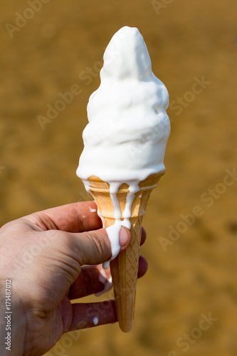 A vanilla whippy ice cream cone melts in the hot summer weather, running down a hand and dripping off. A disaster for anyone eating an ice cream.