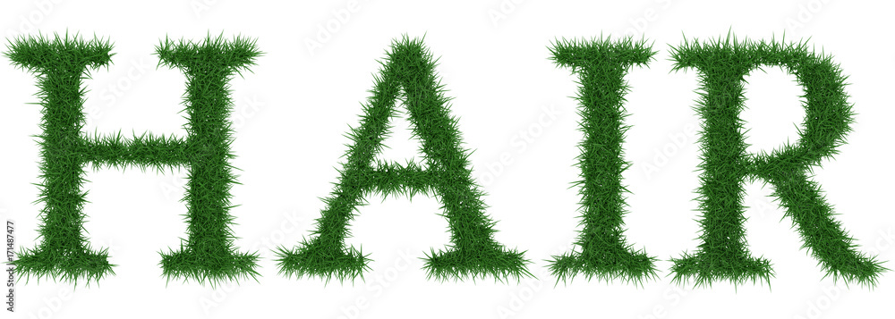 Hair - 3D rendering fresh Grass letters isolated on whhite background. Hair - 3D rendering fresh Grass letters isolated on whhite background.