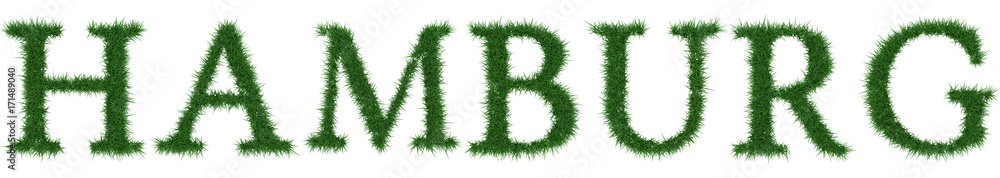 Hamburg - 3D rendering fresh Grass letters isolated on whhite background. Hamburg - 3D rendering fresh Grass letters isolated on whhite background.