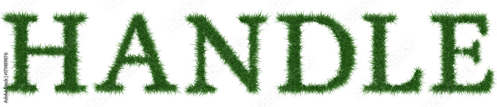 Handle - 3D rendering fresh Grass letters isolated on whhite background. Handle - 3D rendering fresh Grass letters isolated on whhite background.