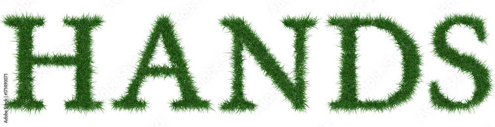 Hands - 3D rendering fresh Grass letters isolated on whhite background. Hands - 3D rendering fresh Grass letters isolated on whhite background.
