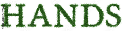 Hands - 3D rendering fresh Grass letters isolated on whhite background.