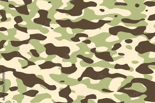 Konstfotografi camo