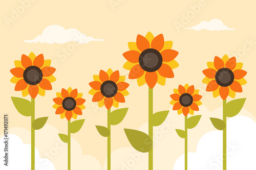 Fototapeta Naklejka Na Ścianę i Meble -  Sunflowers Background. Flat Design Style. 