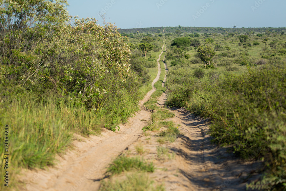 Track through Kalhari Africa Track through Kalhari Africa