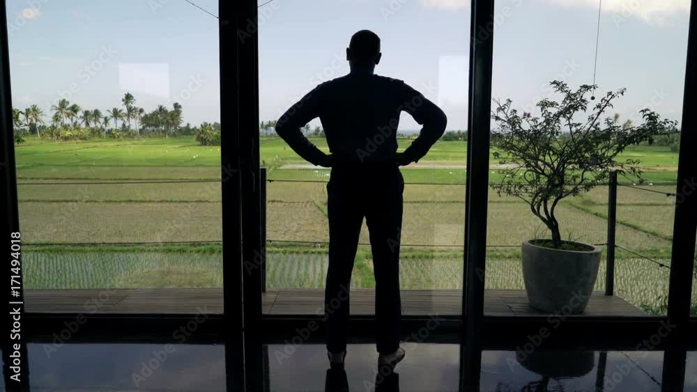 Silhouette of businessman admire view from window at home
Silhouette of businessman admire view from window at home