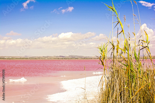 Pink salty lake and blue sky with clouds. Spain, Torrevieja photo