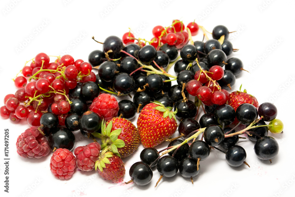 Still life of ripe summer berries 3 Still life of ripe summer berries 3