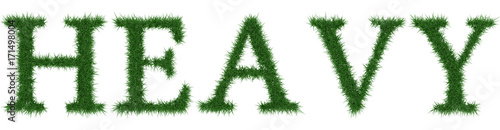 Heavy - 3D rendering fresh Grass letters isolated on whhite background.