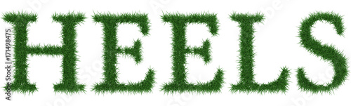 Heels - 3D rendering fresh Grass letters isolated on whhite background.