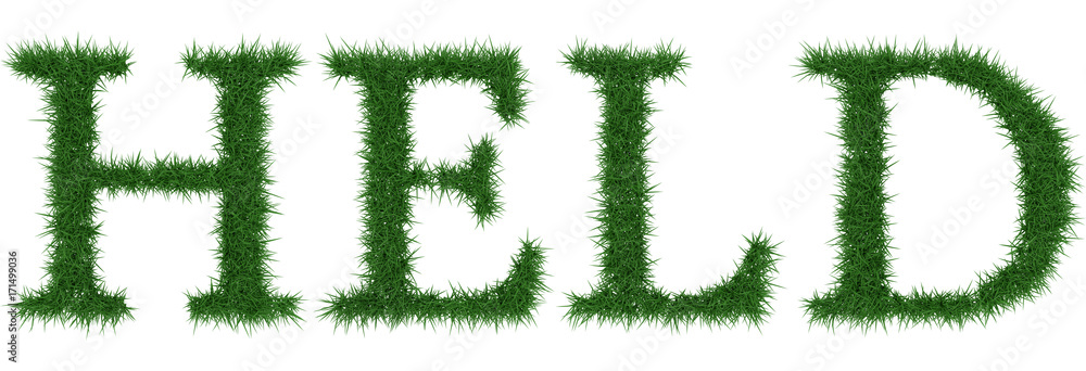 Held - 3D rendering fresh Grass letters isolated on whhite background. Held - 3D rendering fresh Grass letters isolated on whhite background.