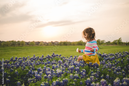 Toddler girl playing in the bluebonnets photo