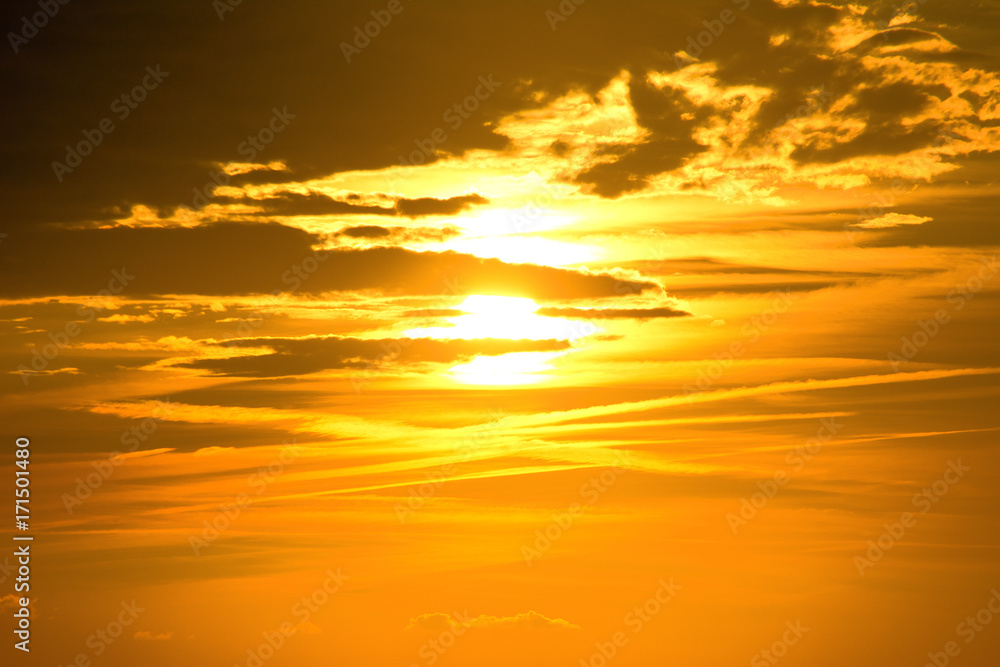 Fototapeta premium orange sky at sunset
