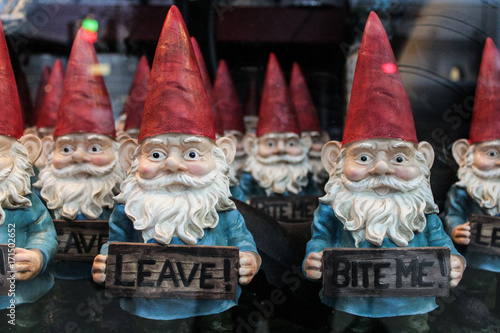 Rude garden gnomes in a store window