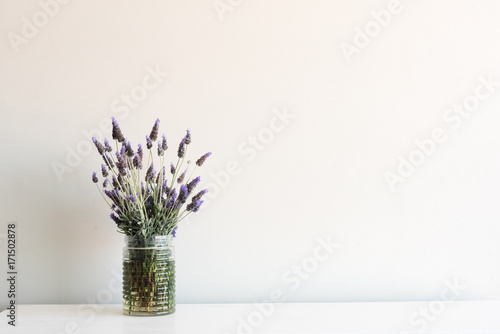 Lavender in glass jar on white table against neutral wall background with copy space