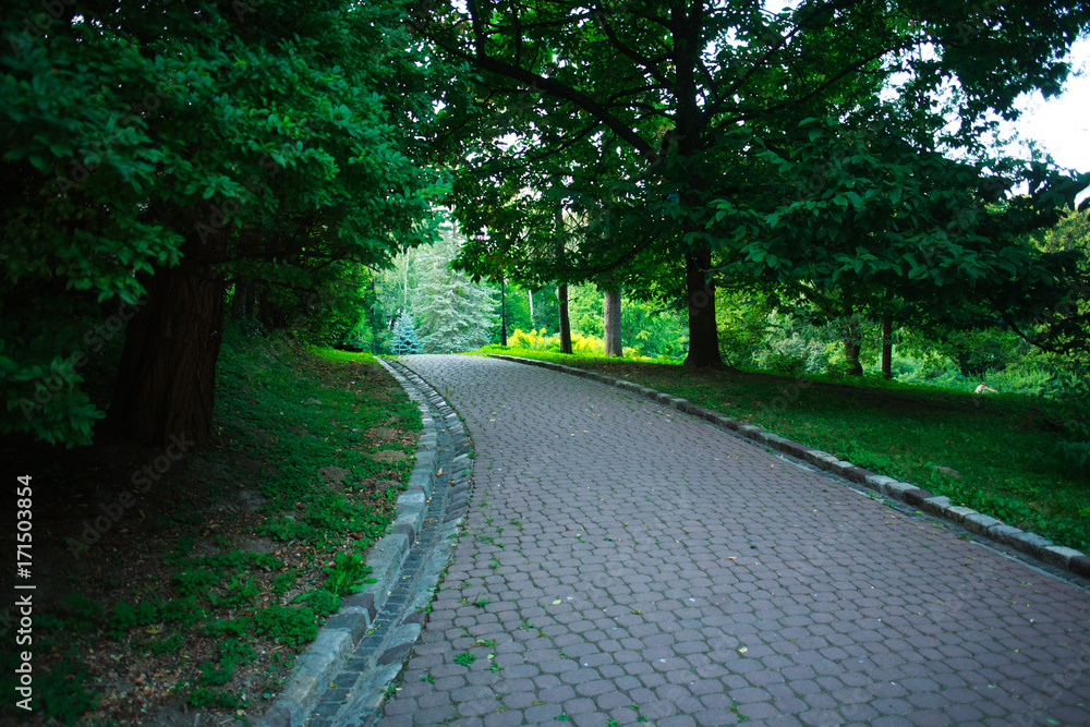 Pedestrian path in summer green city park on background of trees Pedestrian path in summer green city park on background of trees