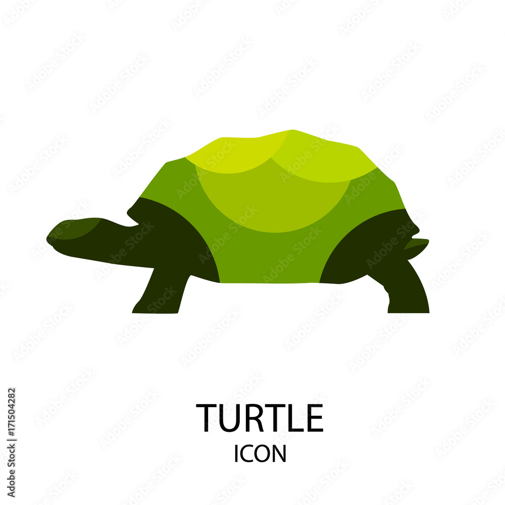 Fototapeta premium Turtle vector icon on white background. Flat design.
