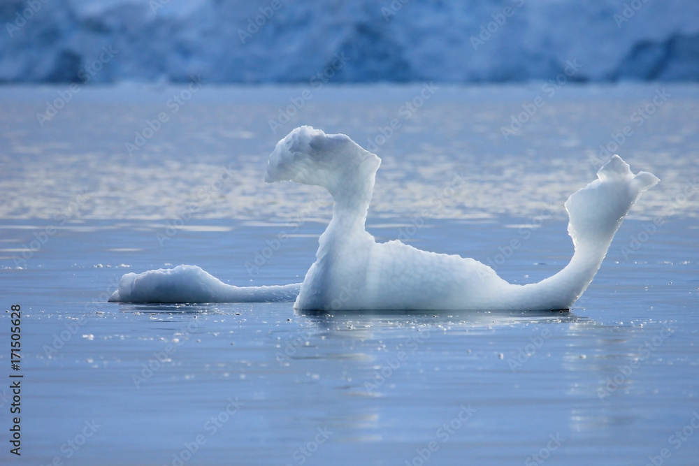 Fototapeta premium Beautiful iceberg or ice floe, Antarctic ocean, Antarctica
