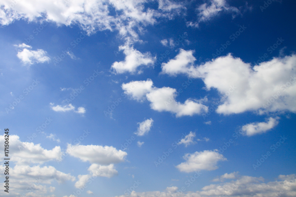 Fototapeta premium 青空