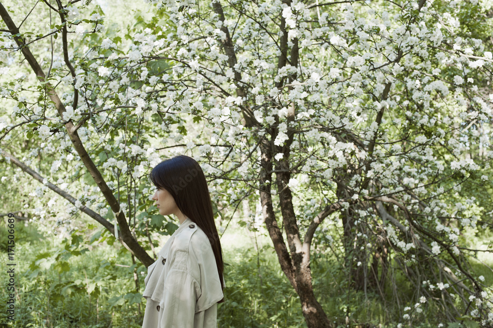 Woman at cherry blossom Woman at cherry blossom
