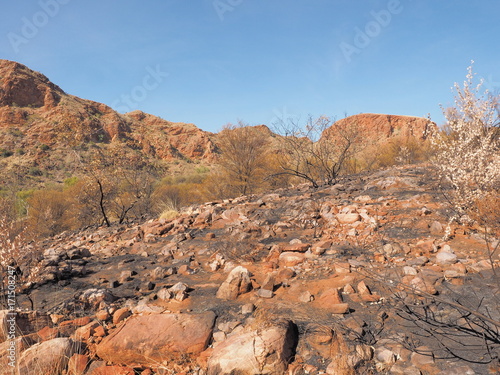 The track along the ridge of Trephina Gorge to Turners lookout, east MacDonnell ranges near Alice Springs, Northern Territory, Australia 2017 photo