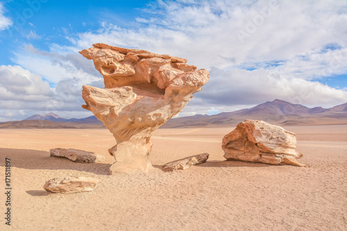 Uyuni treestone photo