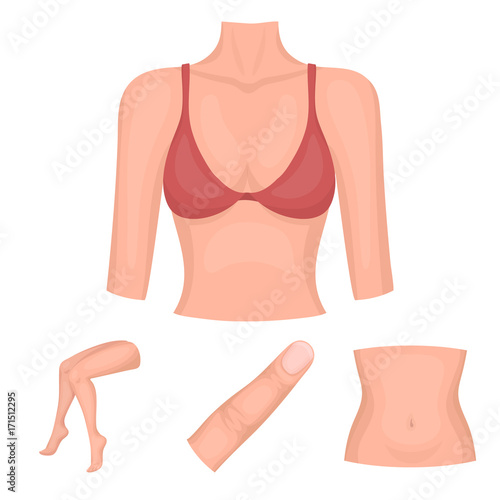 Finger, female feet, female, bust. Part of the body set collection icons in cartoon style vector symbol stock illustration web.