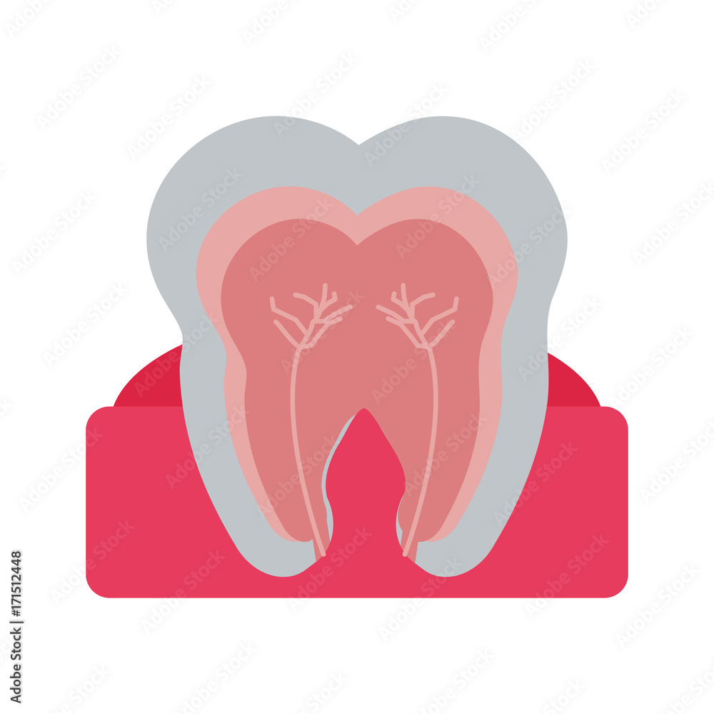 molar tooth inside dentistry icon image vector illustration design molar tooth inside dentistry icon image vector illustration design