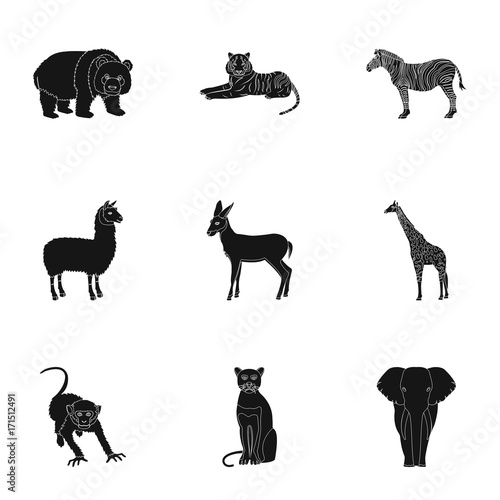 Ostrich emu, crocodile, giraffe, tiger, penguin and other wild animals. Artiodactyla, mammalian predators and animals set collection icons in black style vector symbol stock illustration web. photo