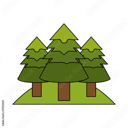 pine tree forest icon image vector illustration design 