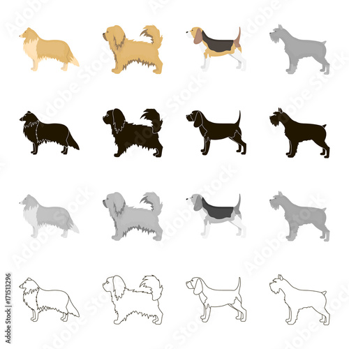 Pointer, dog collie, scottish shepherd, riesen schnauzer, breed pekingese.Dog breeds set collection icons in cartoon black monochrome outline style vector symbol stock illustration web.