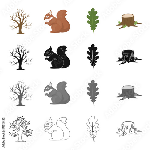 Dry tree in the forest, squirrel, oak leaf, stump. Forest set collection icons in cartoon black monochrome outline style vector symbol stock illustration web.