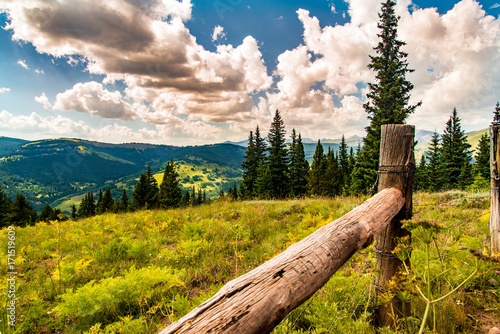 old fence line 