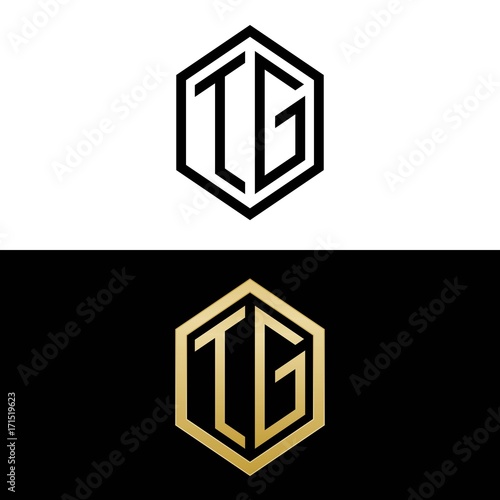 initial letters logo tg black and gold monogram hexagon shape vector