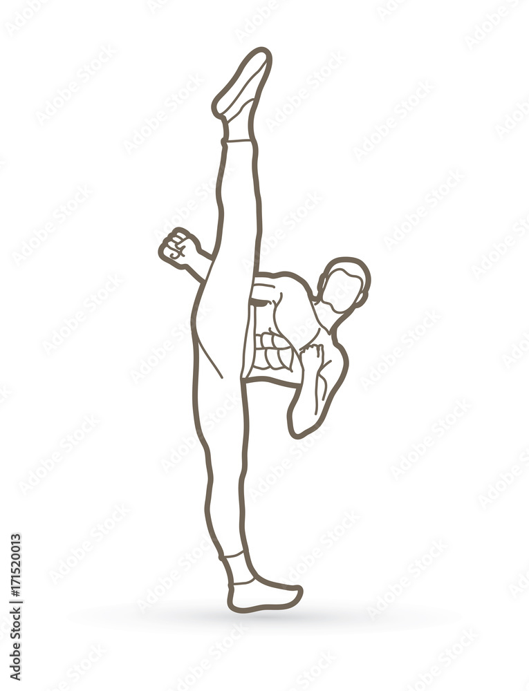 Kung fu, Karate high kick front view outline graphic vector. Kung fu, Karate high kick front view outline graphic vector.