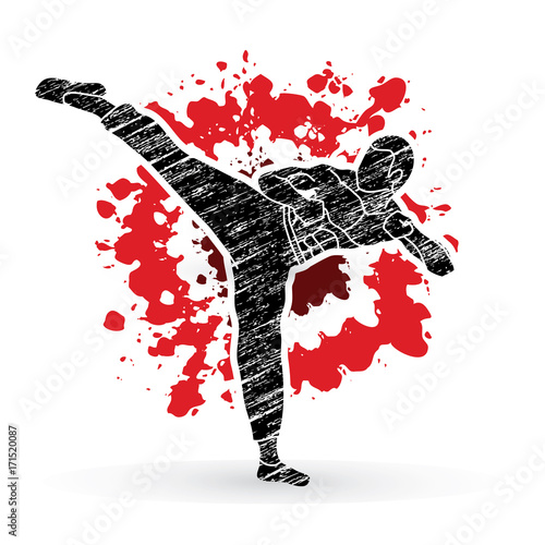Kung fu, Karate kick designed on splatter blood background graphic vector.