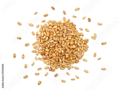 Malted Wheat Grain on a White Background