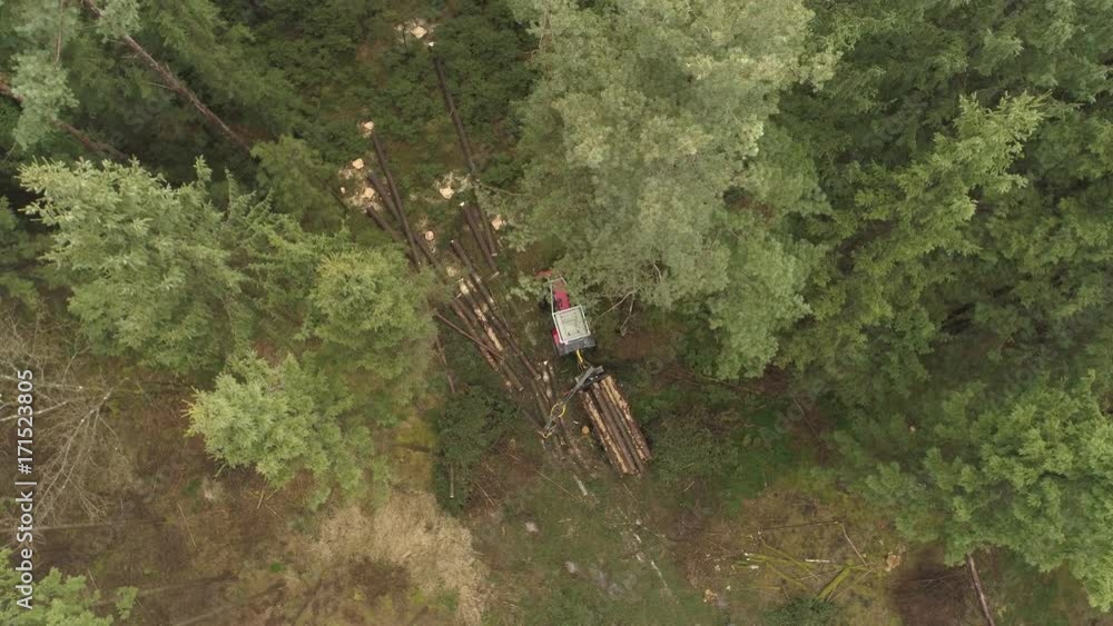 AERIAL DISTANCING Flying above logging truck lifting pile of delimbed cut tree trunks on the stacked tractor on forest clearing. Forwarder loading harvest for the transportation from stumps to sawmill AERIAL DISTANCING Flying above logging truck lifting pile of delimbed cut tree trunks on the stacked tractor on forest clearing. Forwarder loading harvest for the transportation from stumps to sawmill