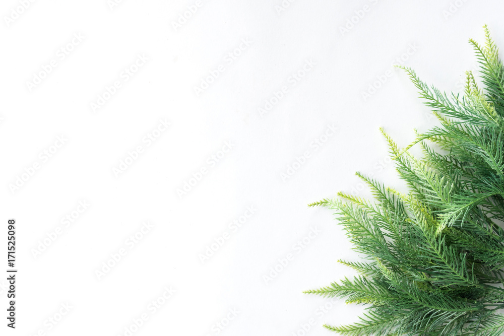 Christmas tree on a white background, free space for text