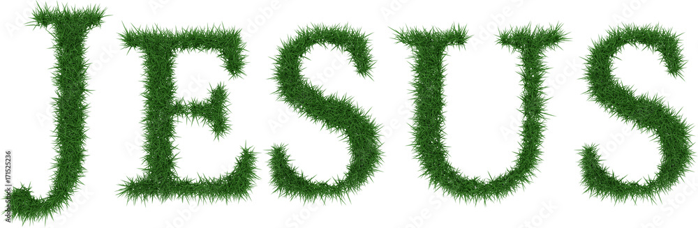 Jesus - 3D rendering fresh Grass letters isolated on whhite background. Jesus - 3D rendering fresh Grass letters isolated on whhite background.