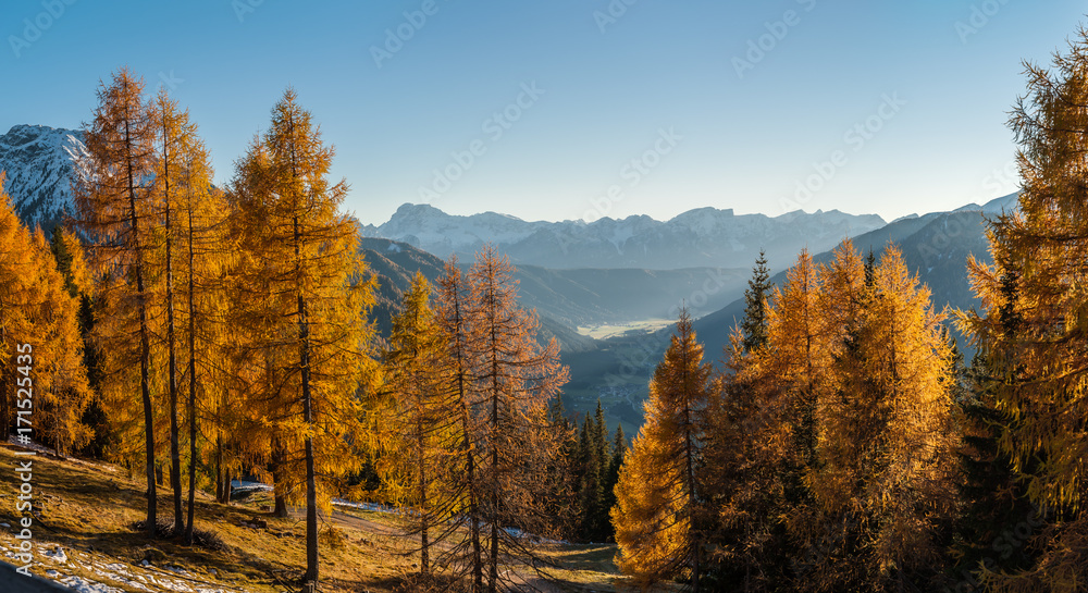 Autumn trees and mountains