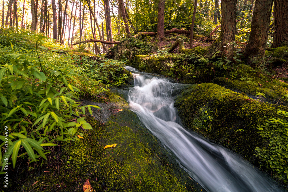 Naklejka premium Waterfall flows gently among a lush display of green foliage at Stokes State Forest, NJ
