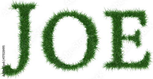 Joe - 3D rendering fresh Grass letters isolated on whhite background.