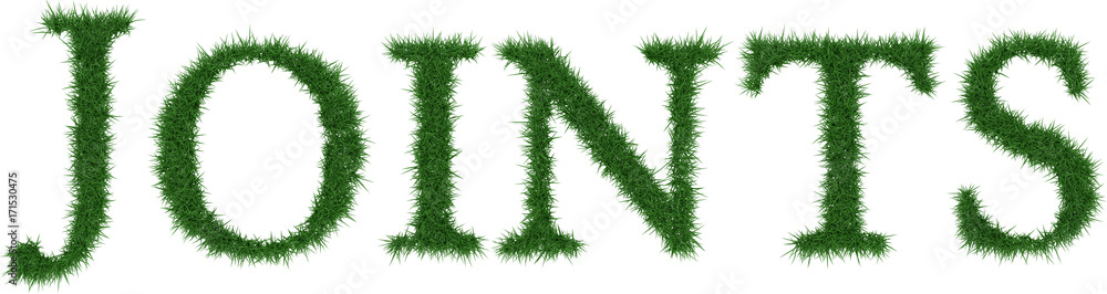 Joints - 3D rendering fresh Grass letters isolated on whhite background. Joints - 3D rendering fresh Grass letters isolated on whhite background.