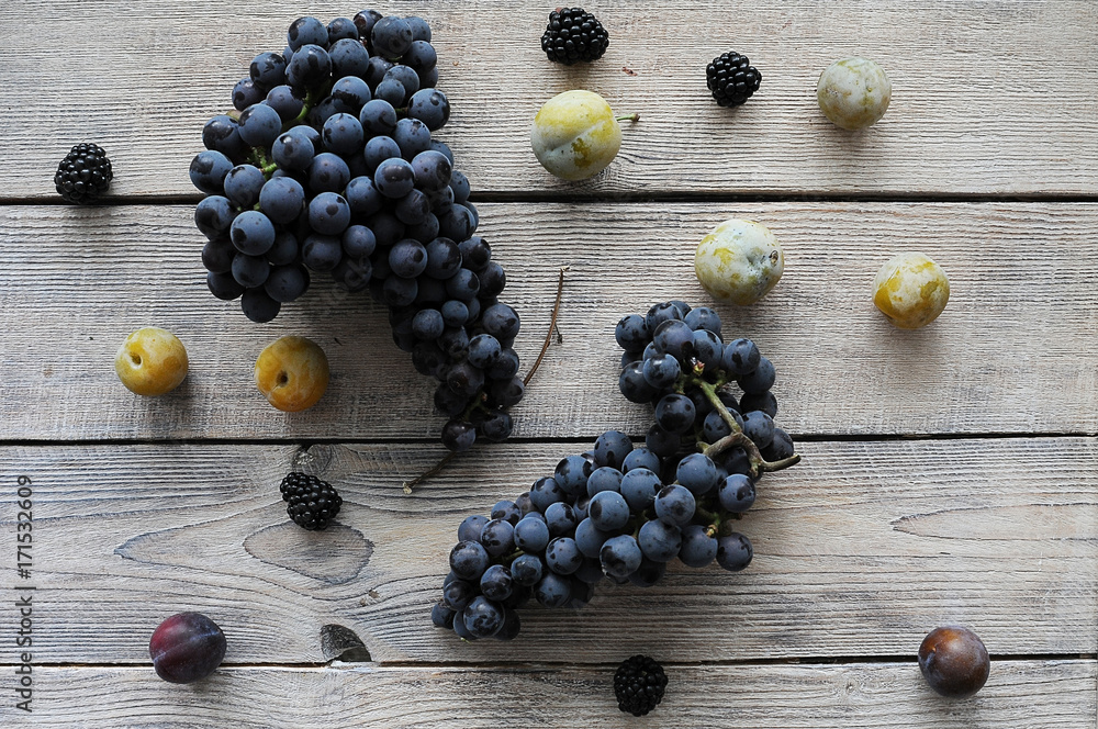 grape and plum grape and plum