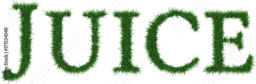 Juice - 3D rendering fresh Grass letters isolated on whhite background.