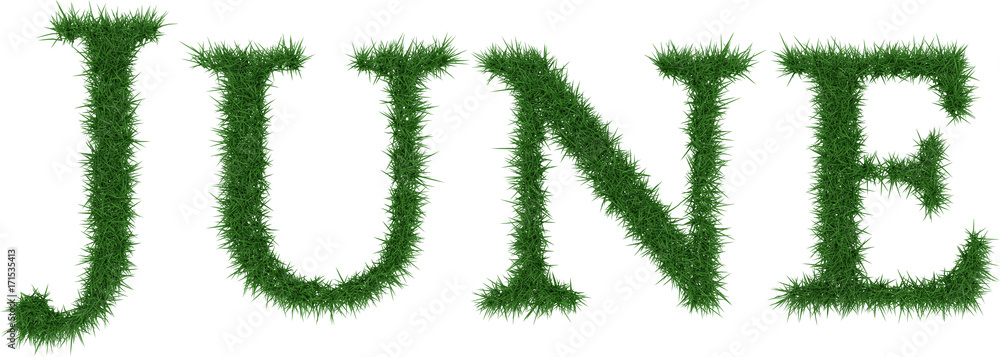 June - 3D rendering fresh Grass letters isolated on whhite background. June - 3D rendering fresh Grass letters isolated on whhite background.