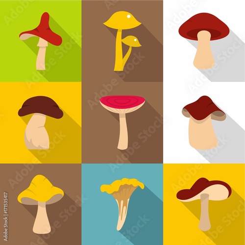 Forest mushroom icon set, flat style photo