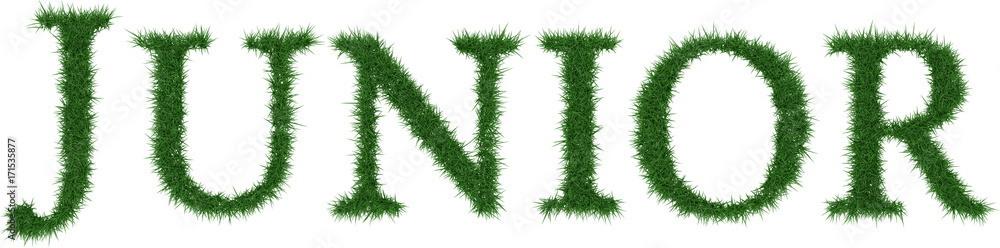 Junior - 3D rendering fresh Grass letters isolated on whhite background. Junior - 3D rendering fresh Grass letters isolated on whhite background.