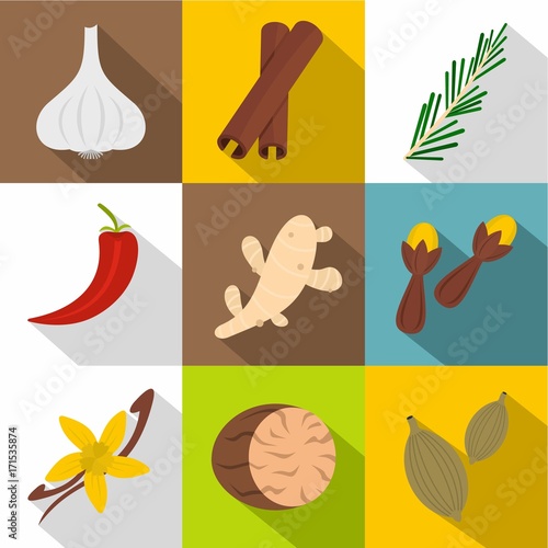 Condiment icon set, flat style
